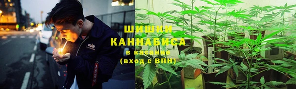 каннабис Беломорск
