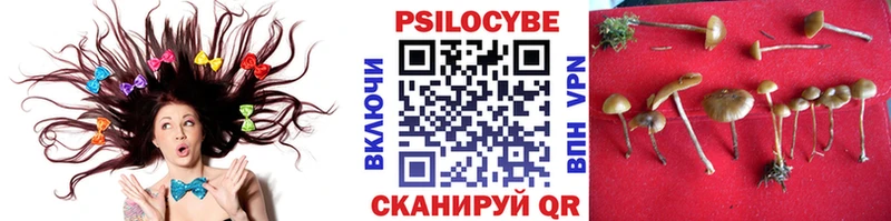 Псилоцибиновые грибы Magic Shrooms Цивильск