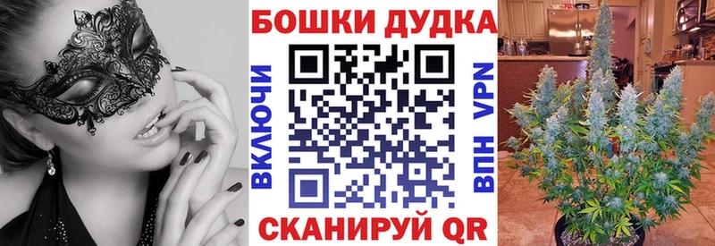 продажа наркотиков Цивильск гидра ссылка Бошки марихуана Ganja